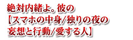 絶対内緒よ。彼の【スマホの中身/独りの夜の妄想と行動/愛する人】