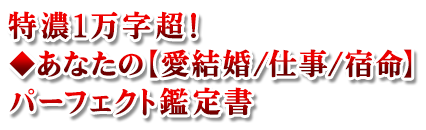 特濃1万字超!◆あなたの【愛結婚/仕事/宿命】パーフェクト鑑定書